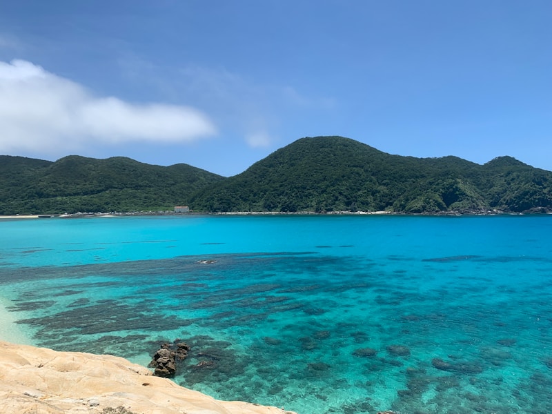 連泊割プラン