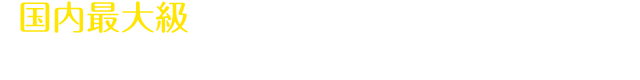 みどころ